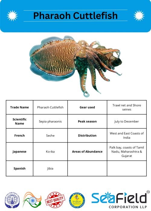 SeaField Coporation LLP (INDIAN FISHERY HANDBOOK_page-0025