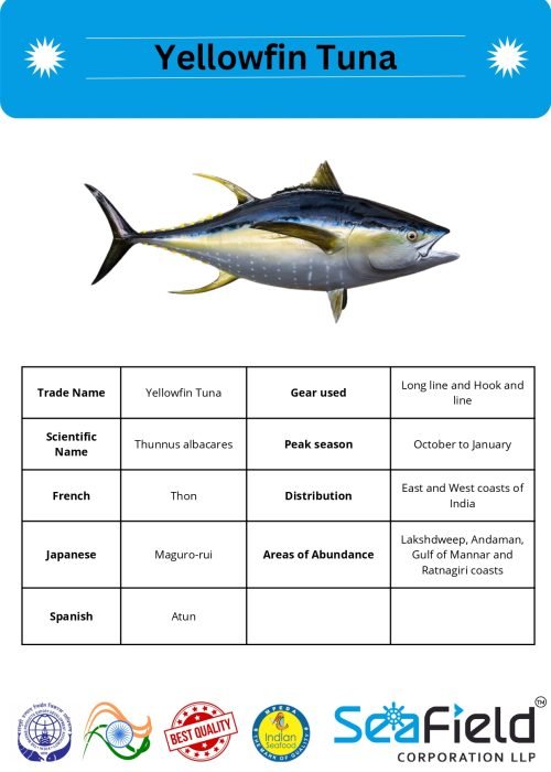 SeaField Coporation LLP (INDIAN FISHERY HANDBOOK_page-0046