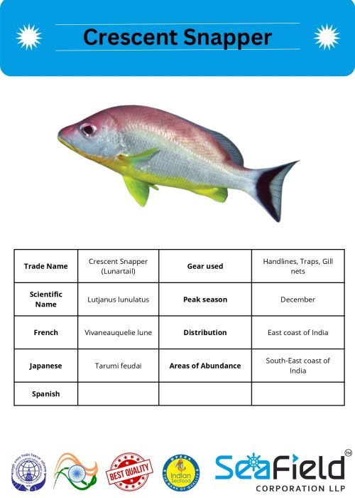 SeaField Coporation LLP (INDIAN FISHERY HANDBOOK_page-0050