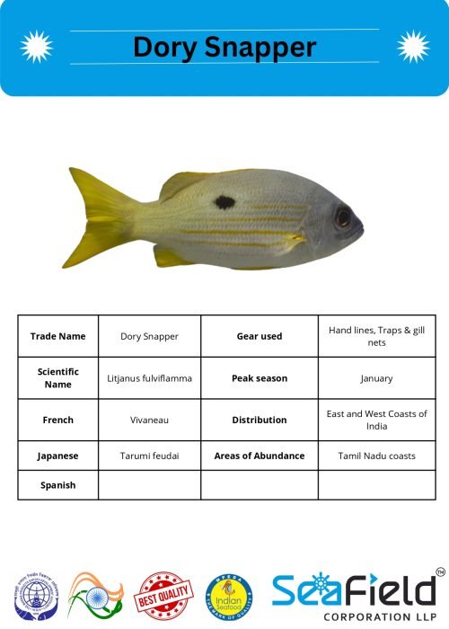 SeaField Coporation LLP (INDIAN FISHERY HANDBOOK_page-0053