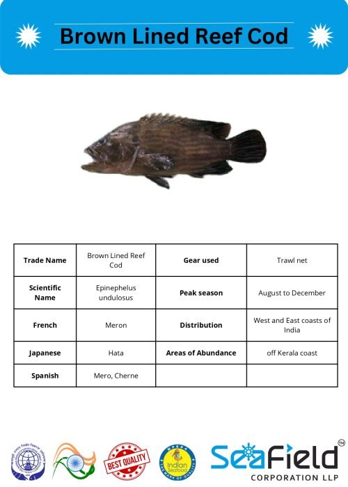 SeaField Coporation LLP (INDIAN FISHERY HANDBOOK_page-0054