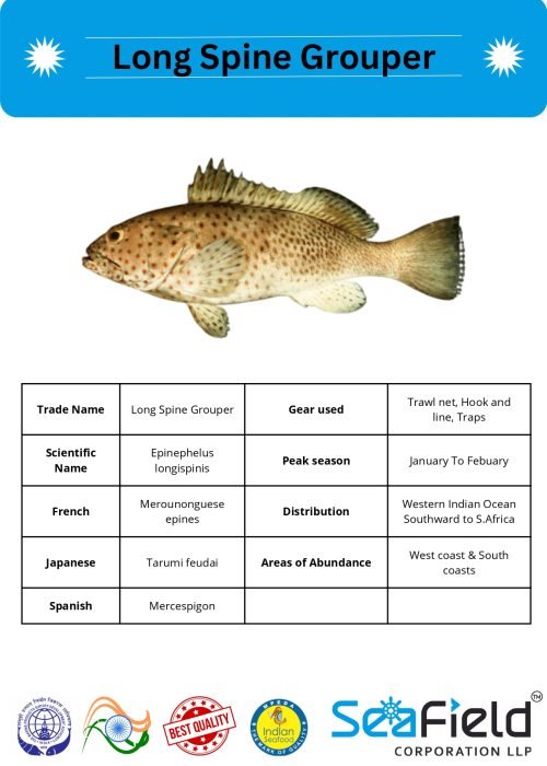 SeaField Coporation LLP (INDIAN FISHERY HANDBOOK_page-0055