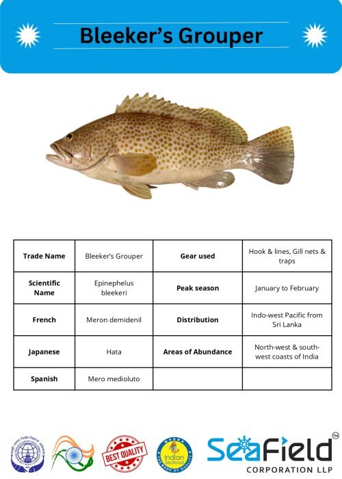 SeaField Coporation LLP (INDIAN FISHERY HANDBOOK_page-0057