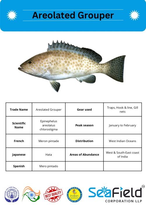 SeaField Coporation LLP (INDIAN FISHERY HANDBOOK_page-0061