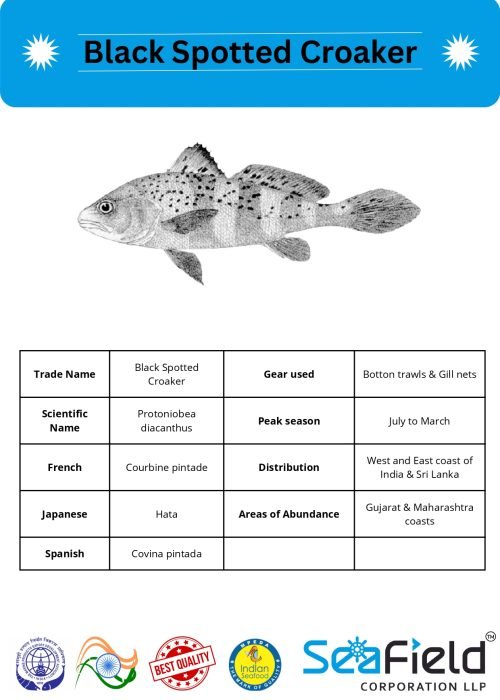 SeaField Coporation LLP (INDIAN FISHERY HANDBOOK_page-0062