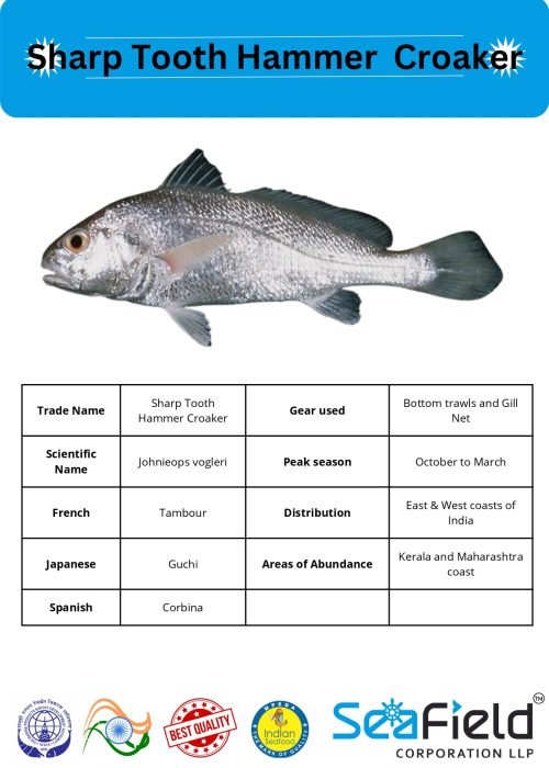 SeaField Coporation LLP (INDIAN FISHERY HANDBOOK_page-0064