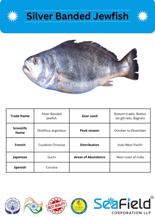 SeaField Coporation LLP (INDIAN FISHERY HANDBOOK_page-0067