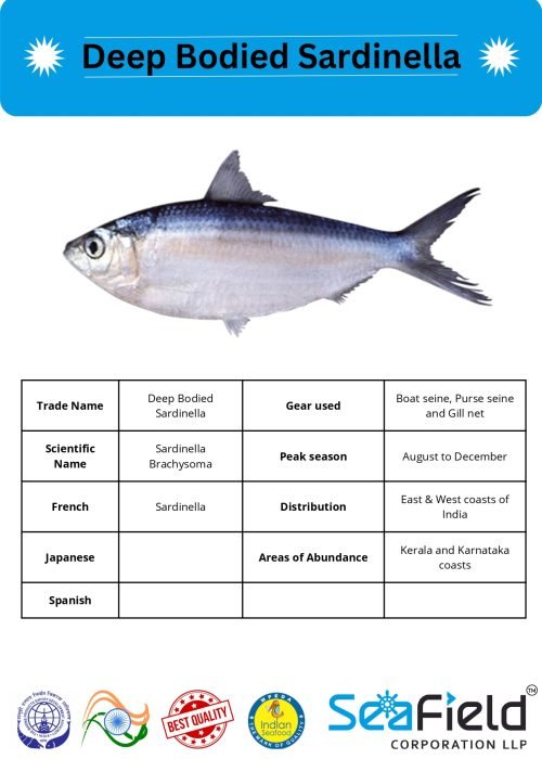 SeaField Coporation LLP (INDIAN FISHERY HANDBOOK_page-0075