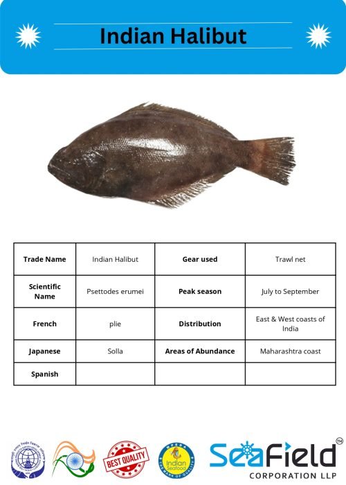 SeaField Coporation LLP (INDIAN FISHERY HANDBOOK_page-0077