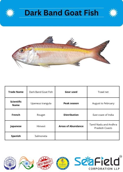 SeaField Coporation LLP (INDIAN FISHERY HANDBOOK_page-0084