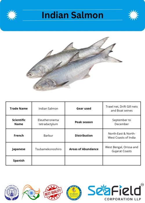 SeaField Coporation LLP (INDIAN FISHERY HANDBOOK_page-0085