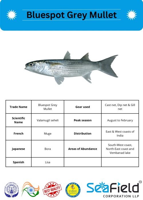 SeaField Coporation LLP (INDIAN FISHERY HANDBOOK_page-0090