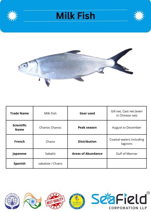SeaField Coporation LLP (INDIAN FISHERY HANDBOOK_page-0091