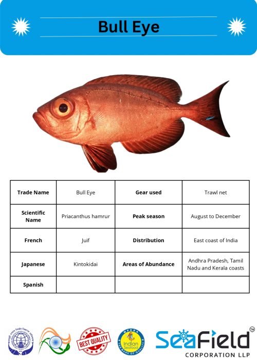 SeaField Coporation LLP (INDIAN FISHERY HANDBOOK_page-0092